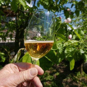 Apple Wine Glass